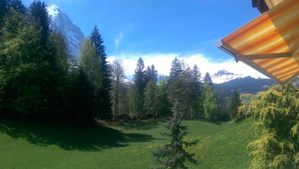 Alpine Boutique Apartments, Grindelwald gletscher Zimmer foto