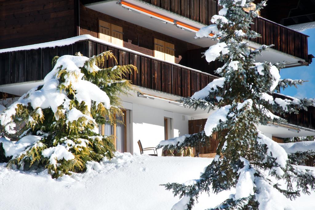 Alpine Boutique Apartments, Grindelwald gletscher Zimmer foto