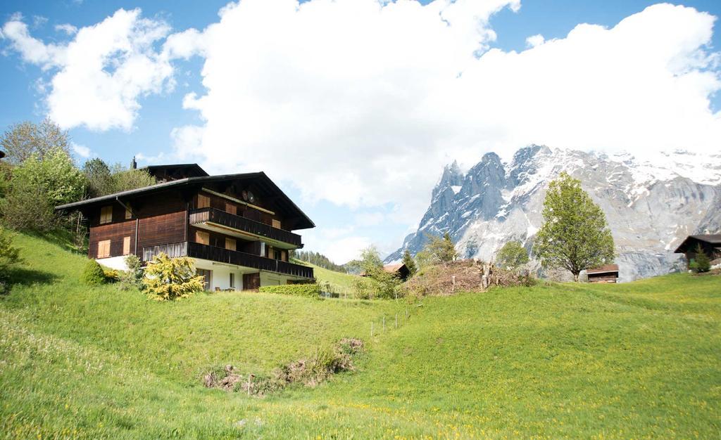 Alpine Boutique Apartments, Grindelwald gletscher Exterior foto